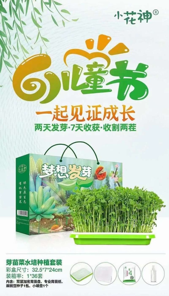儿童水培种植苗芽菜套装儿童DIY
