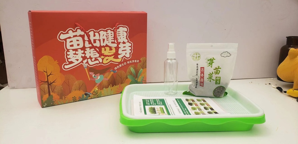 儿童水培种植苗芽菜套装儿童DIY