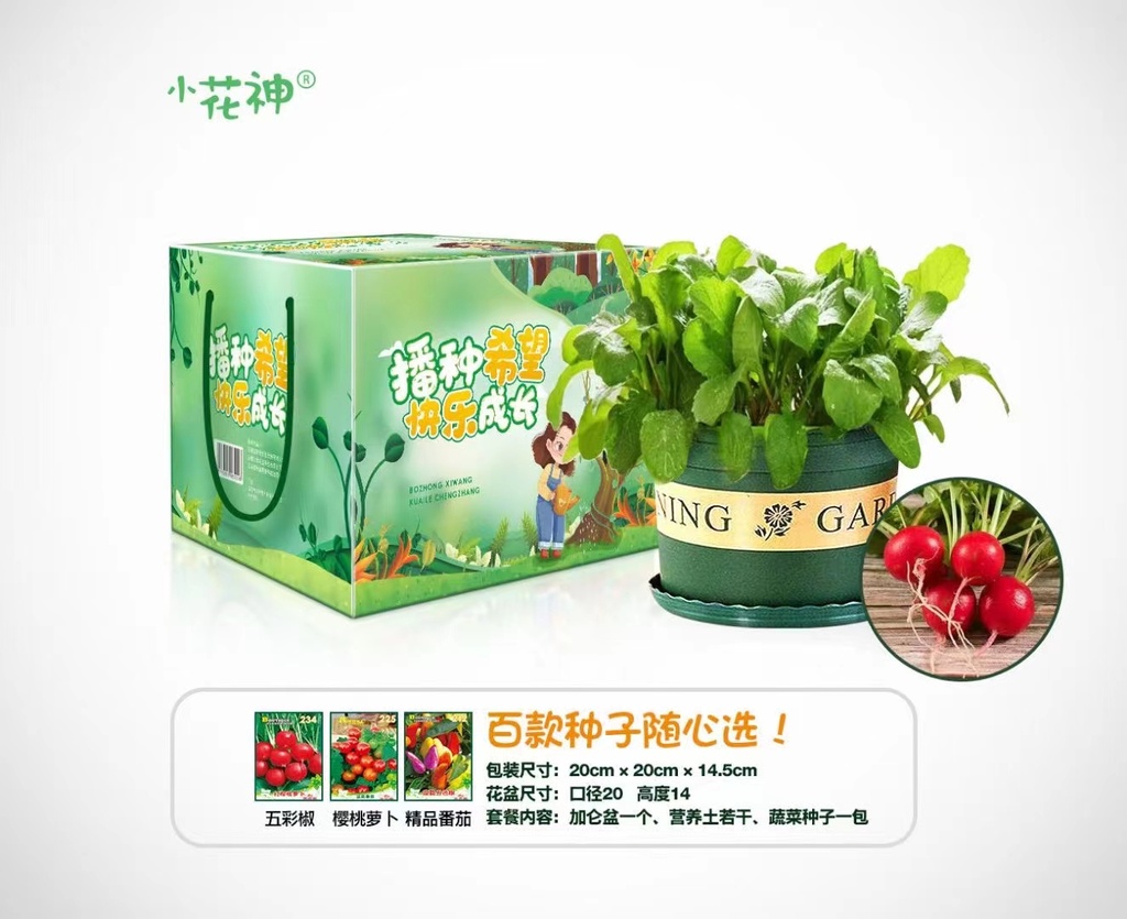 儿童DIY硕果累累种植套装