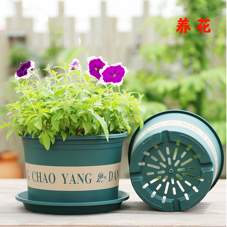 儿童DIY硕果累累种植套装