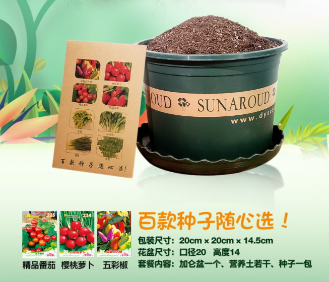 儿童DIY硕果累累种植套装