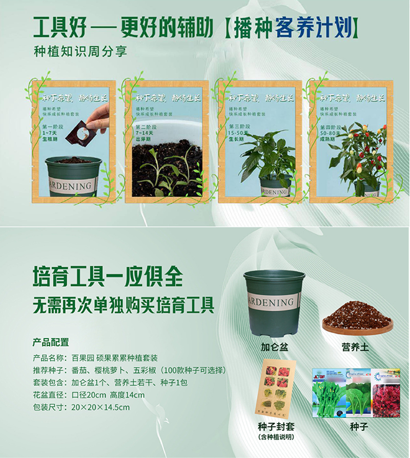 儿童DIY硕果累累种植套装