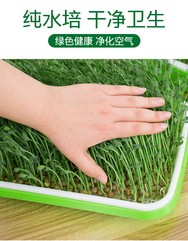 儿童水培种植苗芽菜套装儿童DIY