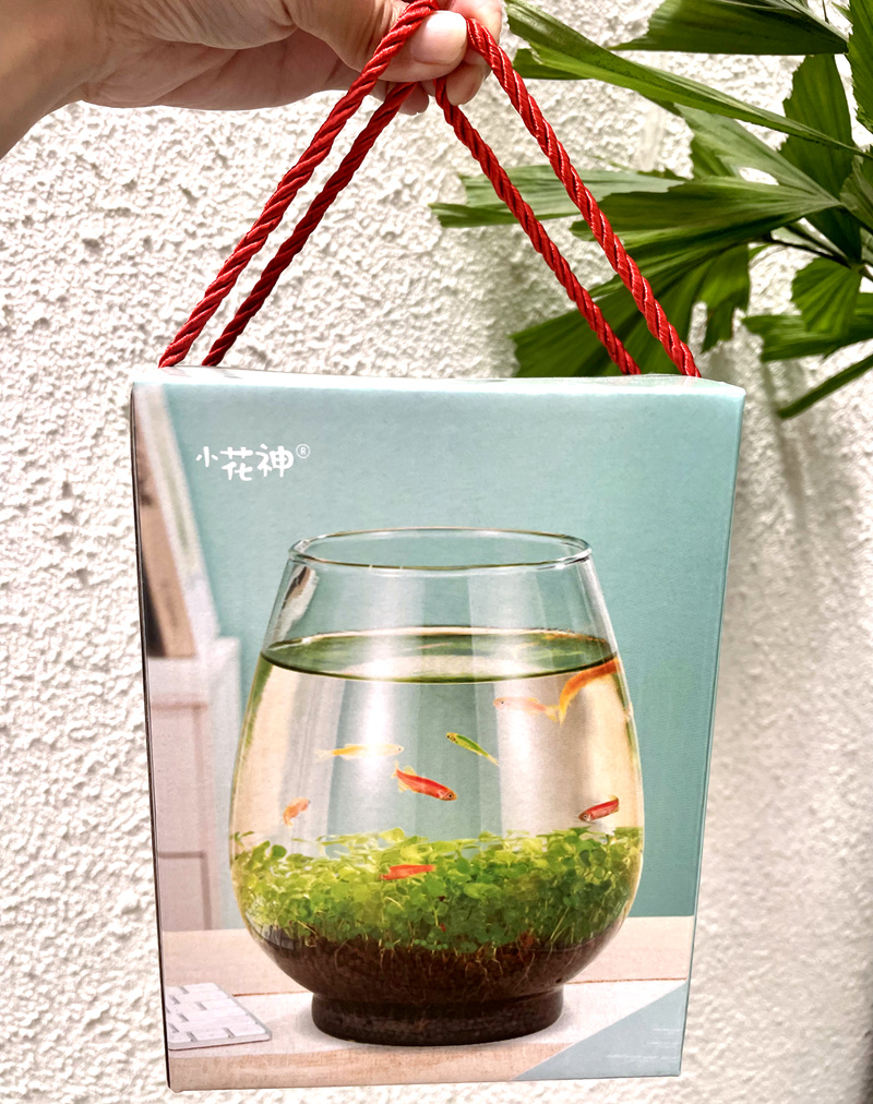鱼你相约生态瓶套装
