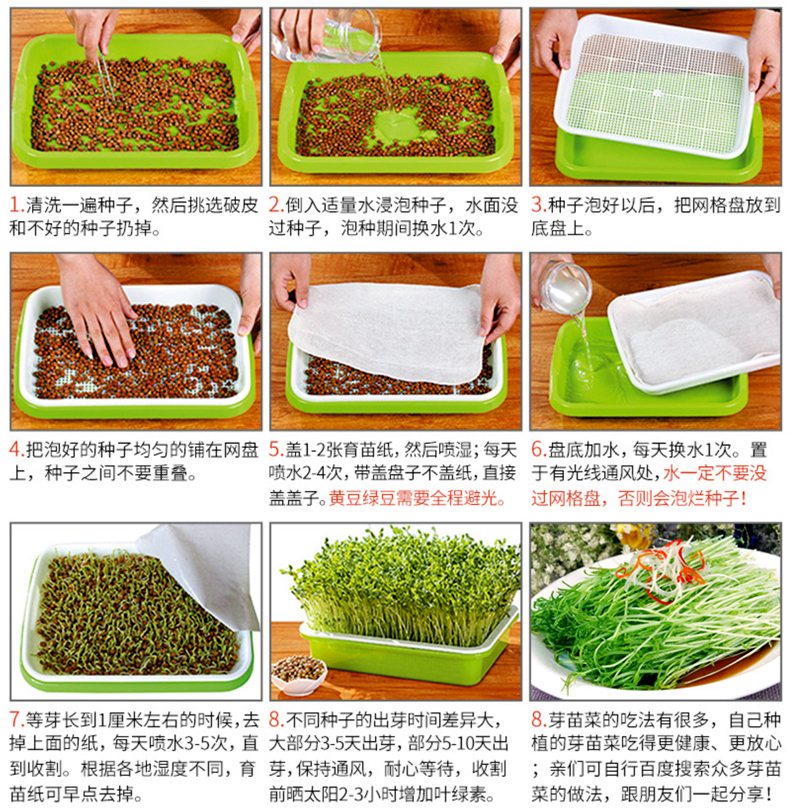 儿童DIY 好运一箩筐 萝卜发芽菜