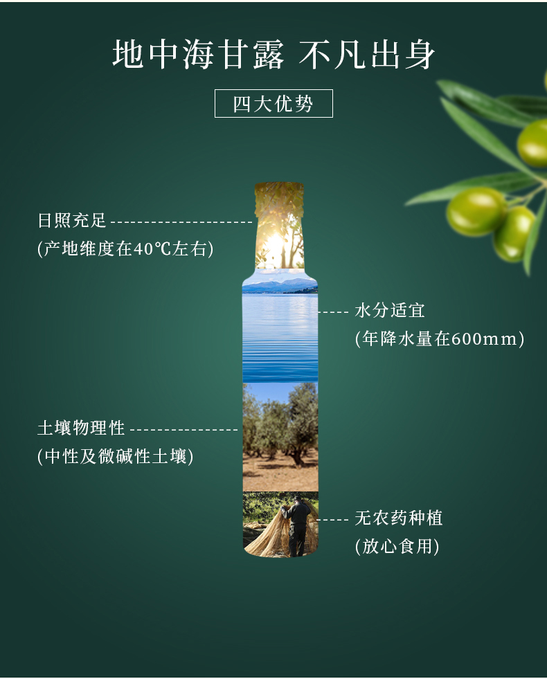 特级初榨橄榄油500ml*2瓶礼盒装 西班牙进口
