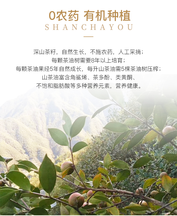 德丽芙山茶油500ml*2瓶礼盒装