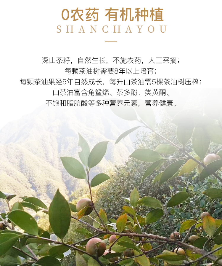德丽芙山茶油500ml  单瓶