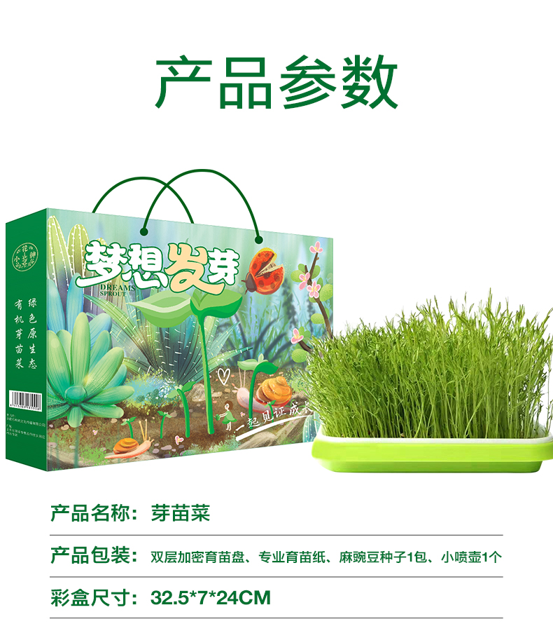 儿童水培种植苗芽菜套装儿童DIY