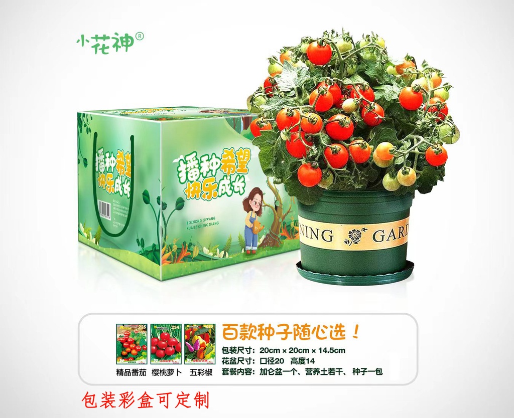 儿童DIY硕果累累种植套装
